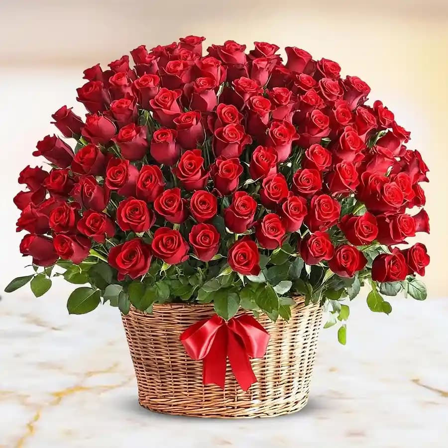 Lavishing Love: 150 Dutch Red Roses
