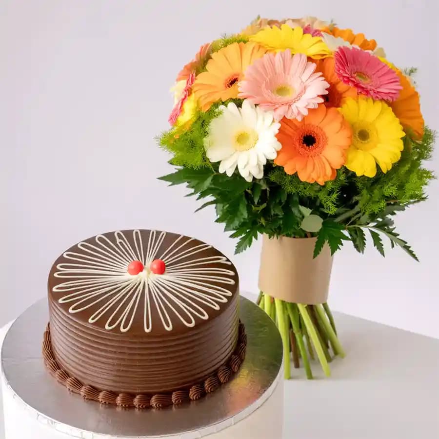 Vibrant Gerbera Delight with Chocolate Indulgence