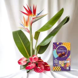 Tropical Bliss with Chocolaty Delights 1