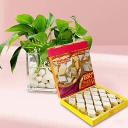 Nutty Indulgence with Nature's Charm 1