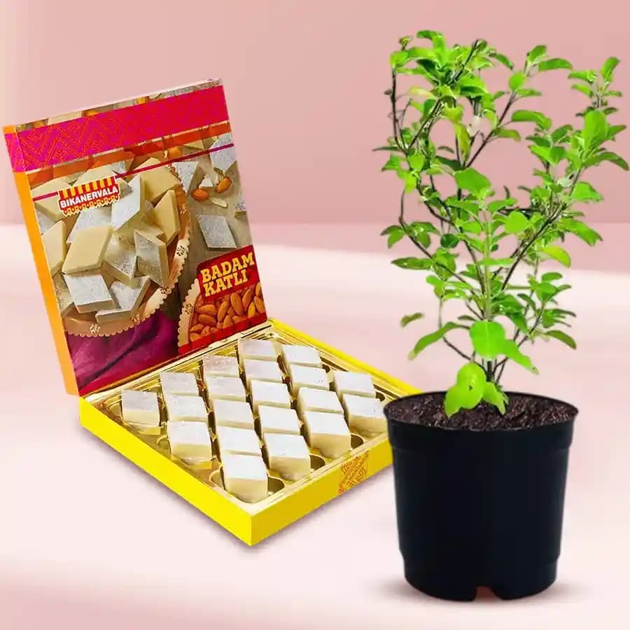 Almond Bliss with Tulsi Gift Set