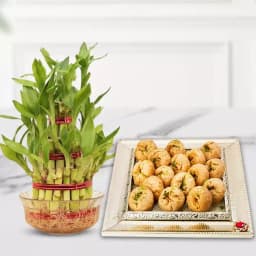 Bamboo Serenity with Balushahi Goodies 1