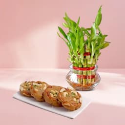 Bikanervala Halwa Sohan with 3 Tier Lucky Bamboo Plant 1