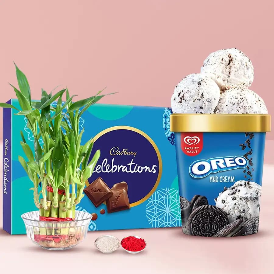 Pious Combo of Lucky Bamboo Plant Kwality Walls Oreo Ice Cream n Chocolates