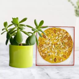 Exquisite Badam Rotlo & Greenery Delight 1