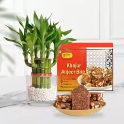 Delightful Duo: Khajur Anjeer Treat & Lucky Bamboo 1