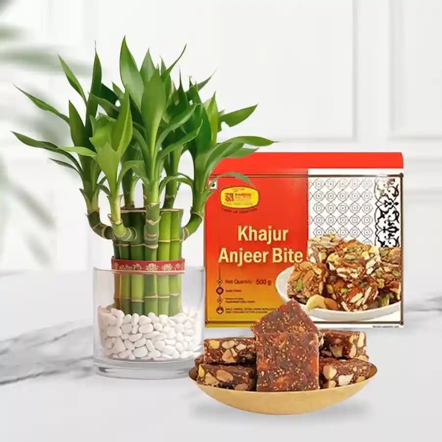 Delightful Duo: Khajur Anjeer Treat & Lucky Bamboo