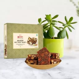 Luxury Khajur and Anjeer Delight Set 1