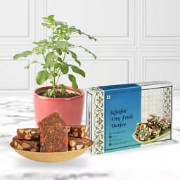 Kandoi's Delightful Khajur Anjeer & Sacred Tulsi Gift Set 1