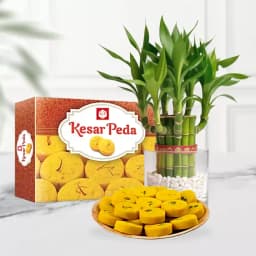 Exquisite Kesar Mewa Peda with Bamboo Delight 1