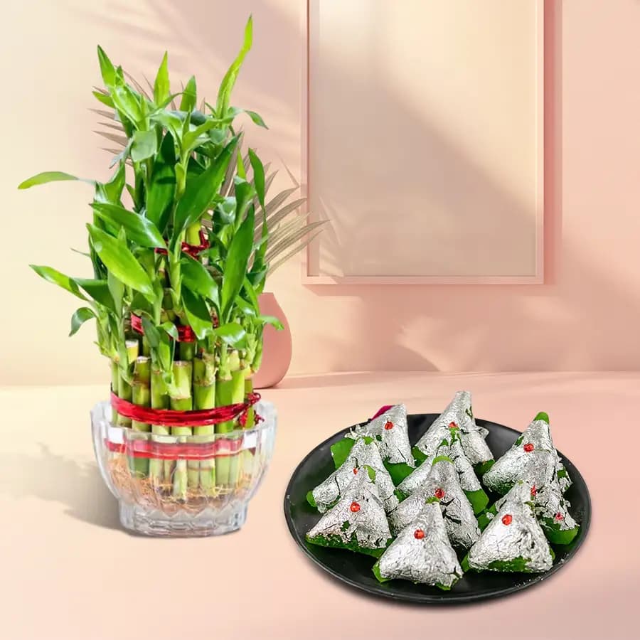 Harmony of Bamboo & Sweet Pistachio Delight