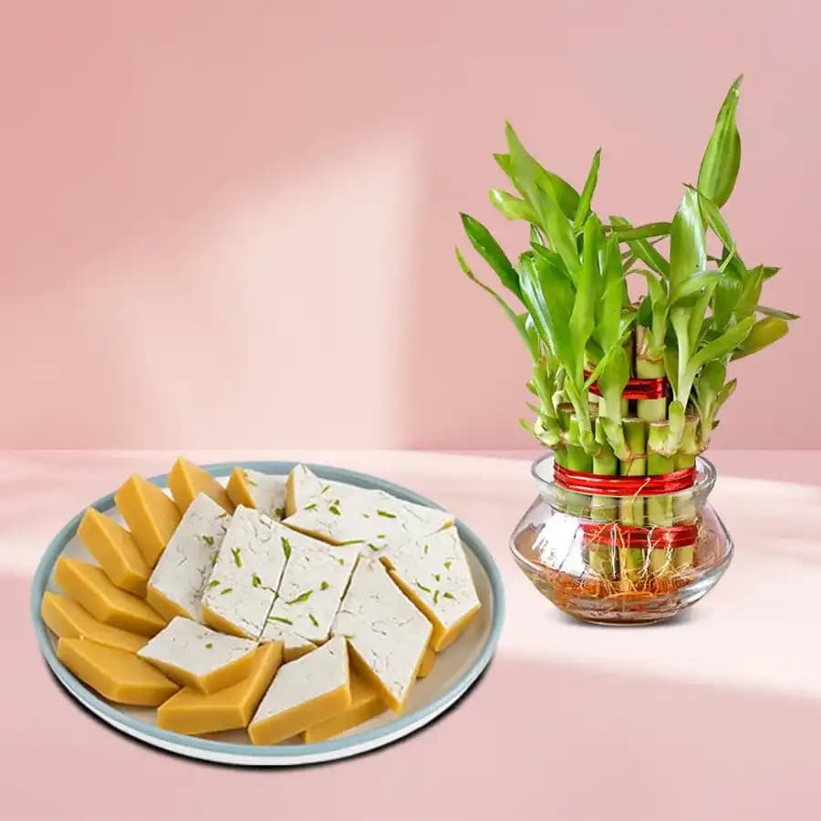 Saffron Delight with Fortune Bamboo