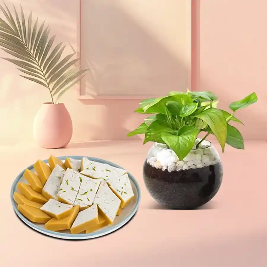 Delightful Kesar Kaju Treat with Greenery