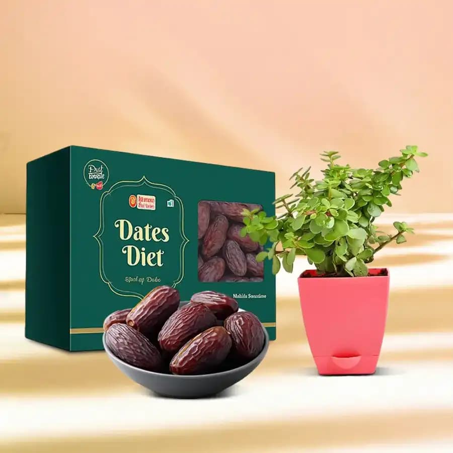 Healthy Delights: Dates & Jade Gift Set