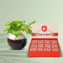 Sweet Bliss & Prosperity Duo 1