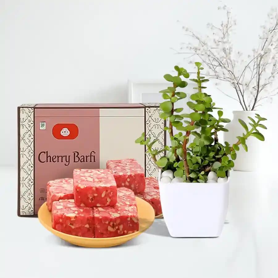 Delightful Cherry Sweet Treat with Prosperity Plant