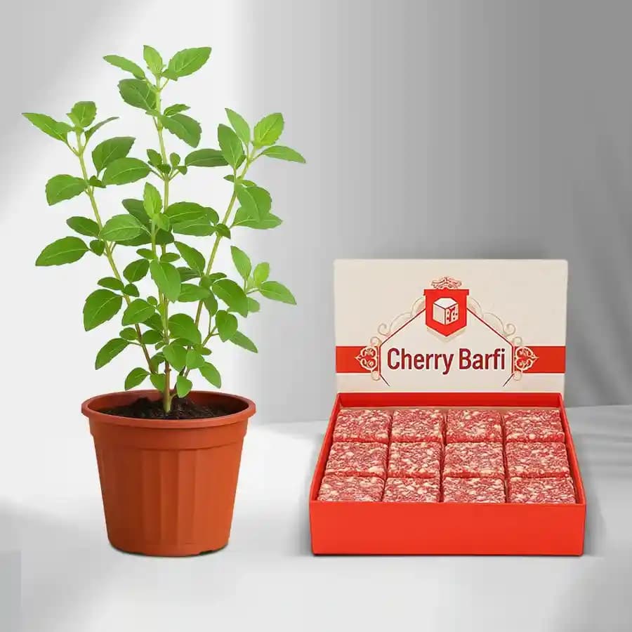 Charming Cherry Delight with Tulsi Companion