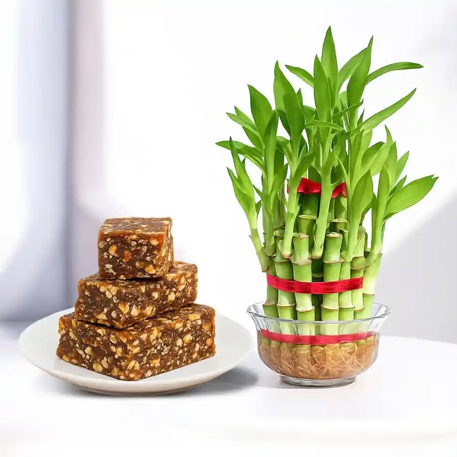 Sweet Delight and Green Blessings