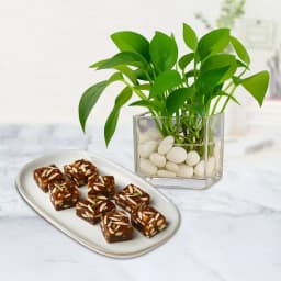 Sweet Delight & Prosperous Greenery Set 1