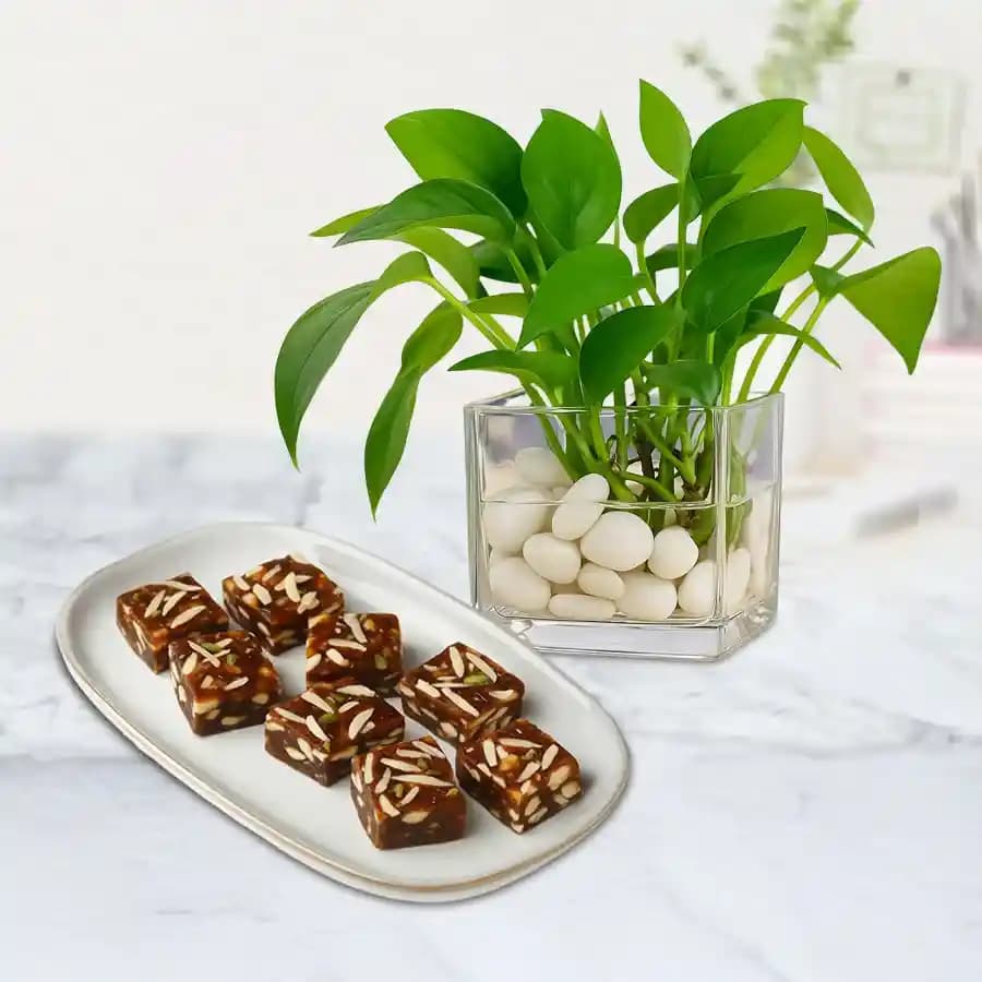 Sweet Delight & Prosperous Greenery Set