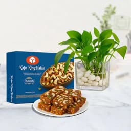 Nutty Delight: Kaju Halwa with Green Bliss 1