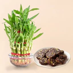 Dry Fruit Dates Roll from Shree Mithai with Lucky Bamboo Plant 1