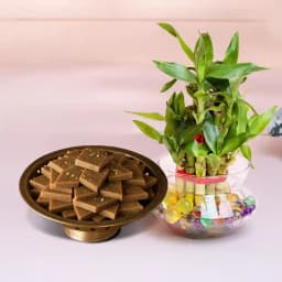 Karupatti Katli from Sri Krishna Sweets with Lucky Bamboo Plant 1