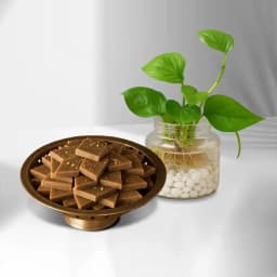 Karupatti Katli from Sri Krishna Sweets with a Money Plant in Glass Pot 1