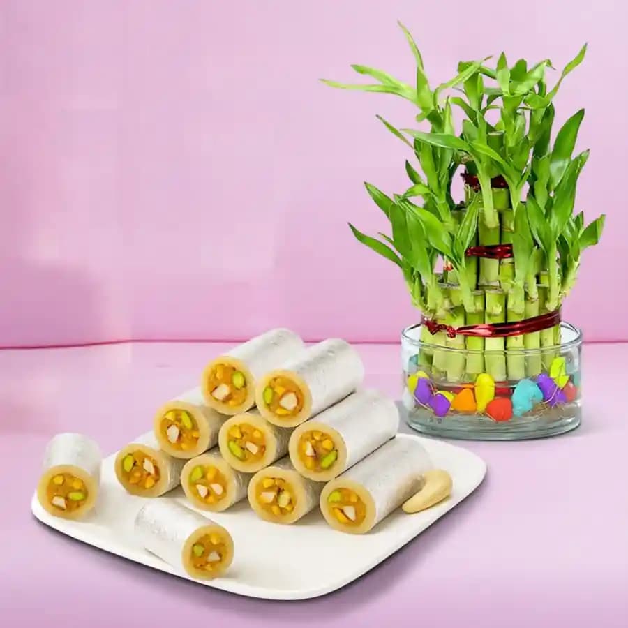 Dry Fruit Honey Dew from Adyar Ananda Bhawan with Lucky Bamboo Plant