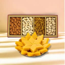 Badam Cake from Adyar Ananda Bhawan with Mixed Dry Fruits 1