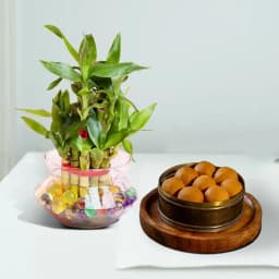 Bellam Sunni Laddu from Almond House with 3 Tier Lucky Bamboo Plant 1