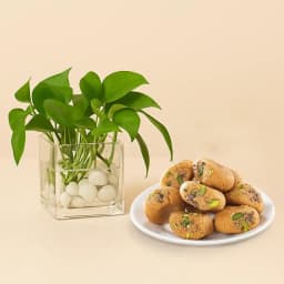 Delightful Mathura Peda & Green Bliss 1