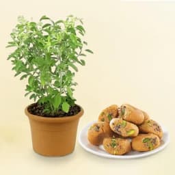 Tulsi Infused Mathura Sweets 1