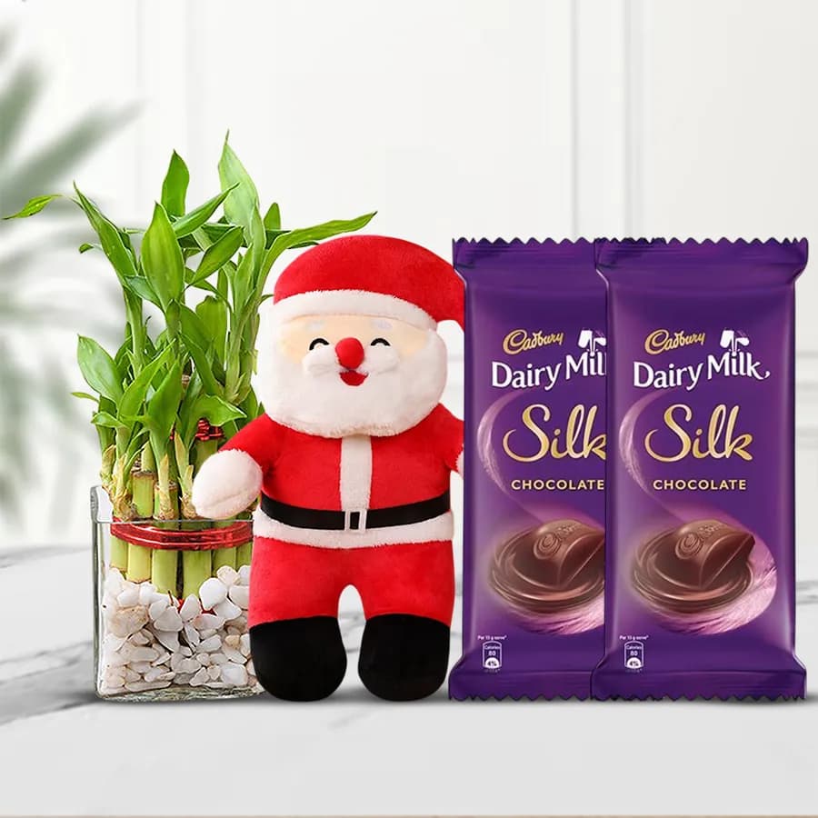 Christmas Bounty Chocolate n Plant Treat