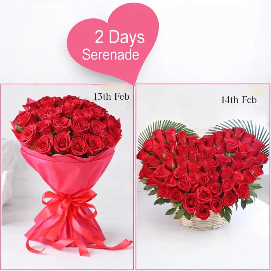 Exquisite Red Roses 2 Days Serenade Gift