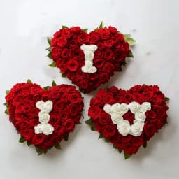 Arresting Triple Heart ILU Arrangement 1