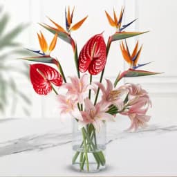 Tropical Love Affair in a Glass 1