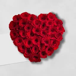 Romantic Heart of Scarlet Roses 1