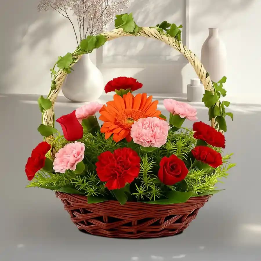 Radiant Harmony of Petals