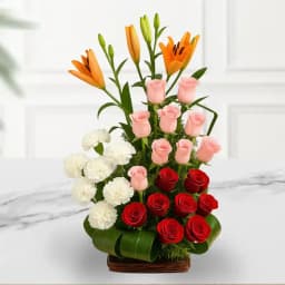 Blooms of Affection 1