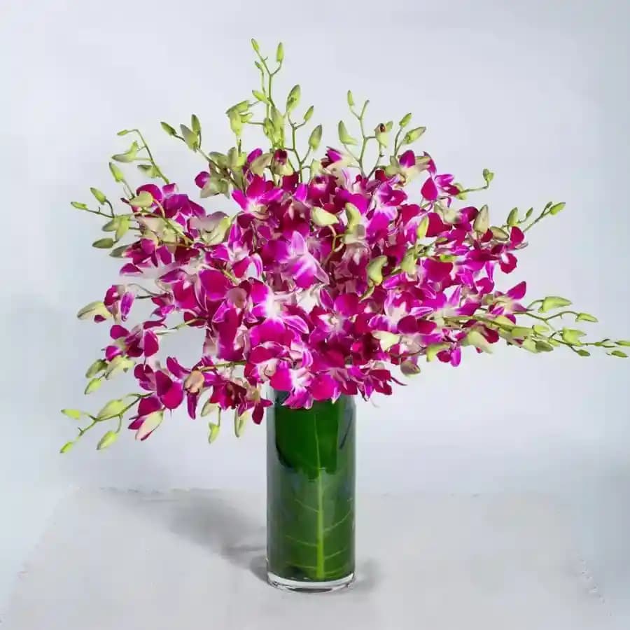 Lavish Purple Orchid Collection