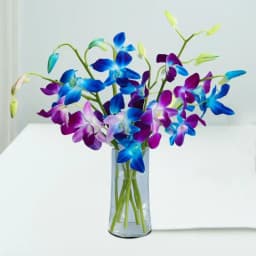 Majestic Orchid Display in Crystal Serenity 1