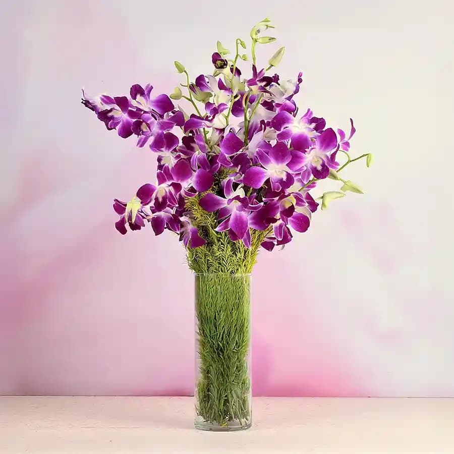 Elegance in Bloom: Purple Orchid Delight