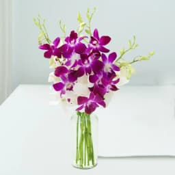 Elegant Orchid Duo in Crystal Elegance 1