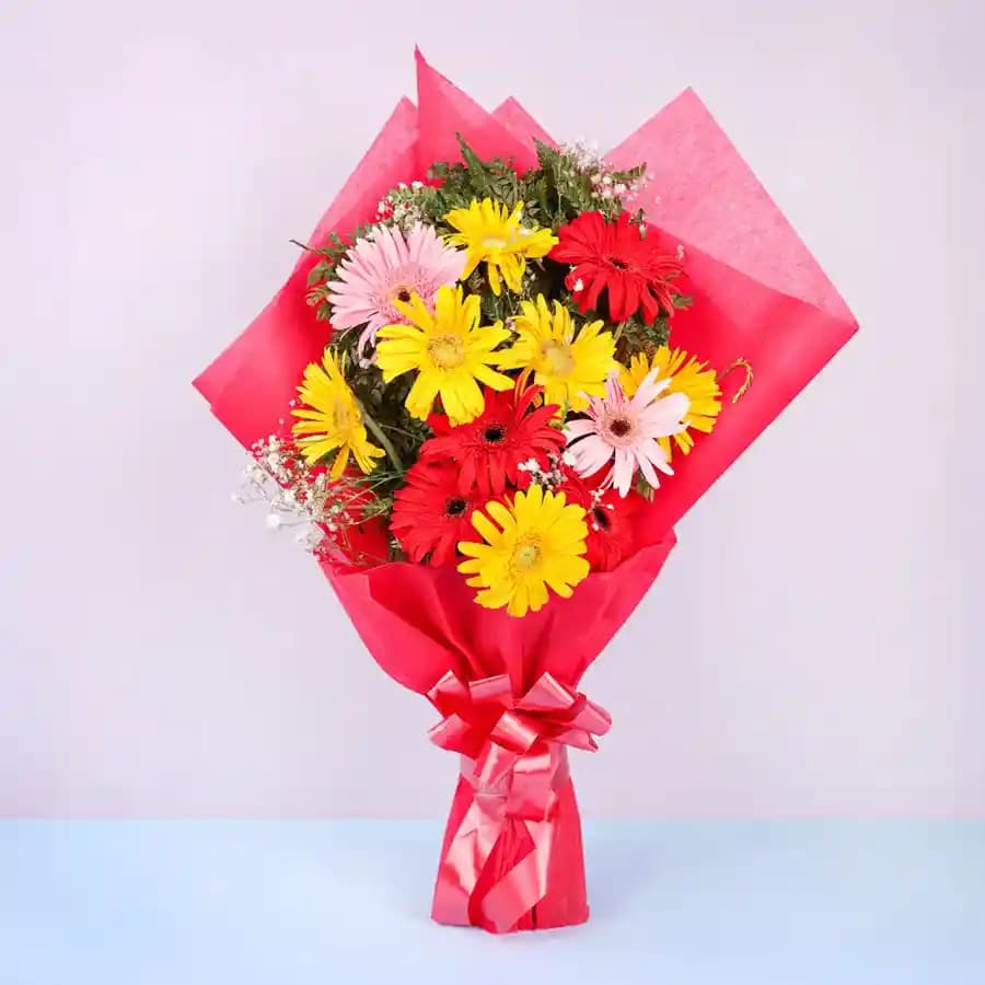 Classic Tissue Wrapped Multicolour Gerberas Bouquet