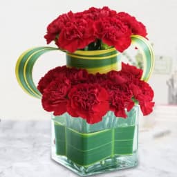 Amazing Double Layered Pink Carnation Arrangement in a Vase 1