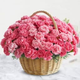 Admirable Pink Carnation Basket 1