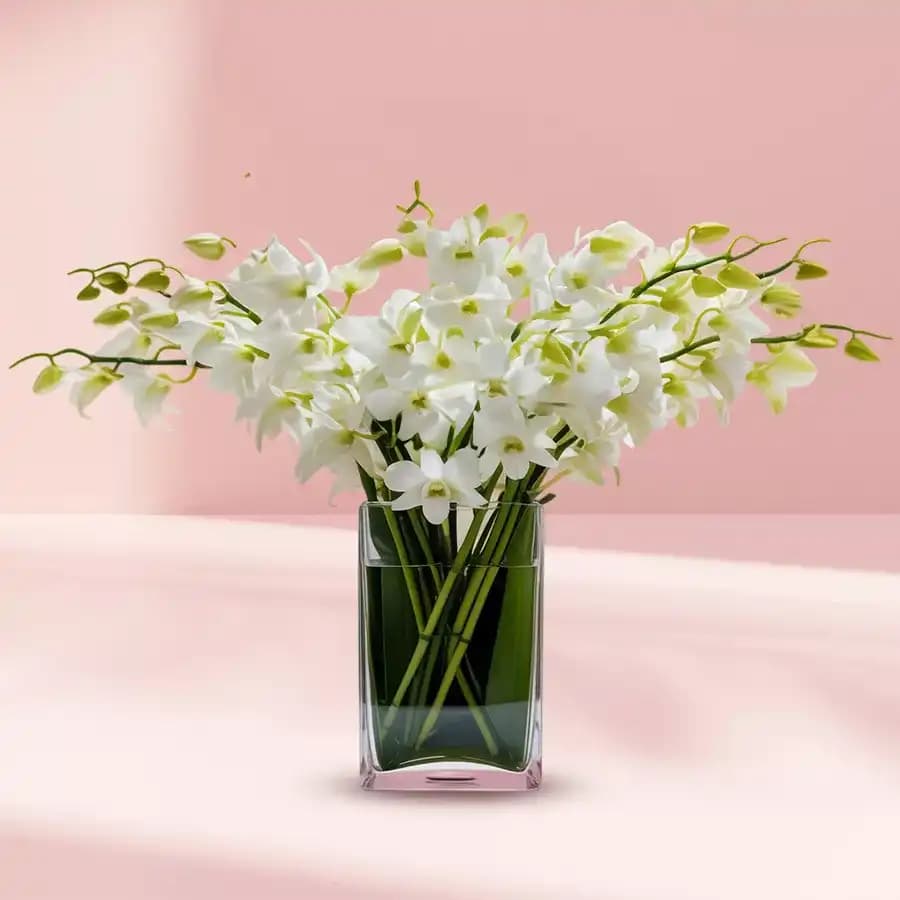 Soothing White Orchids Vase Arrangement