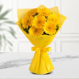 Radiant Gerbera Bouquet 1