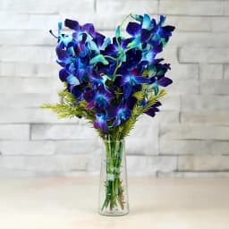 Vibrant Blue Orchids Arrangement 1